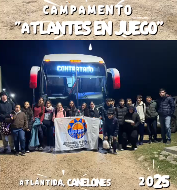 Artículo 4